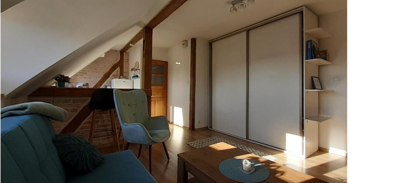Urocze Studio Z Klimatem W Centrum Legnicy 莱格尼察 外观 照片